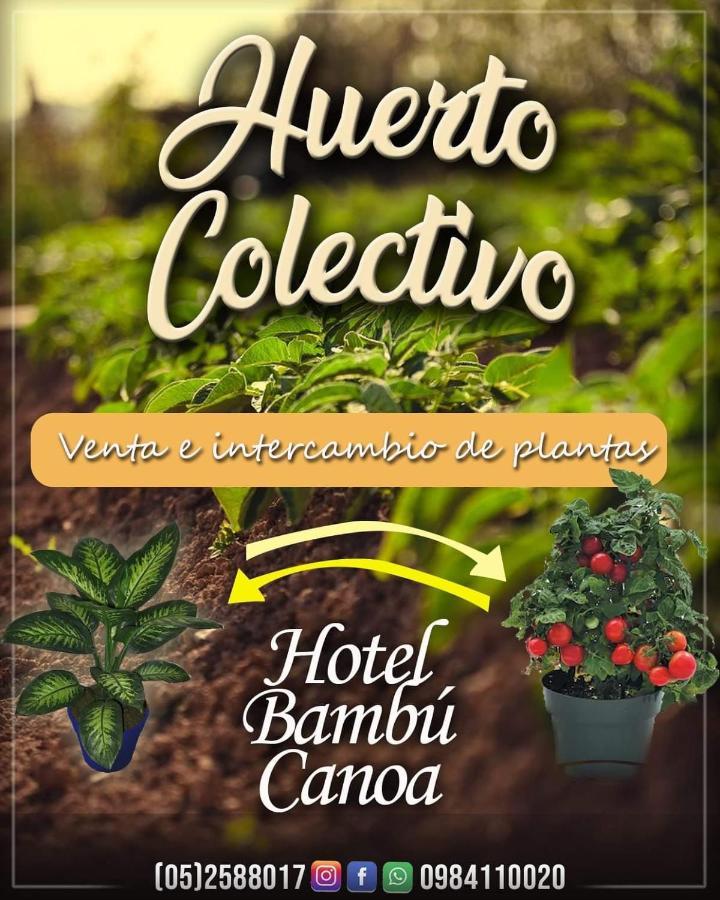 Hotel Bambu Canoa Exterior foto